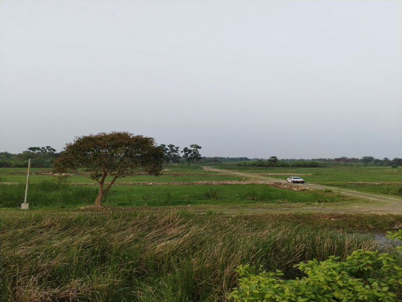 Additional image 3 of Joka, Kolkata