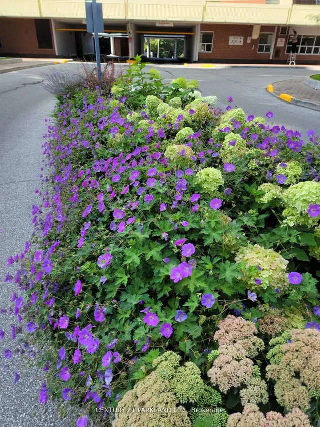 Additional image 31 of 1 Massey Sq Unit 1914