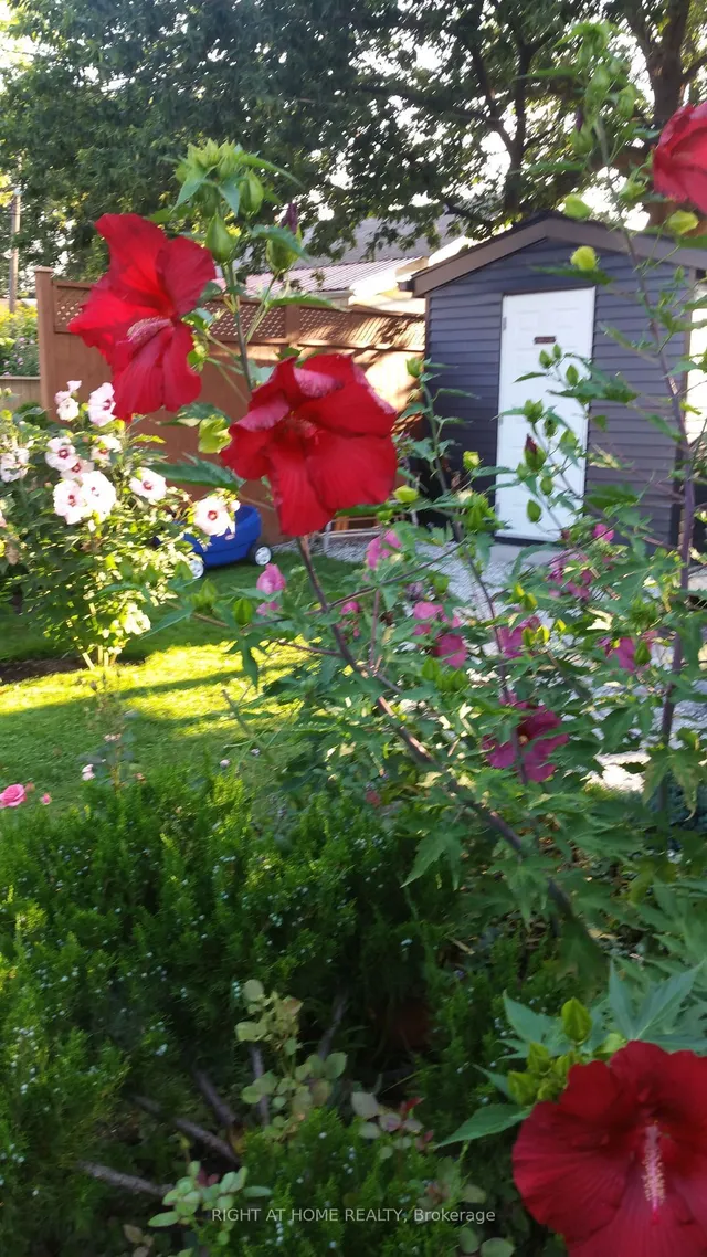 Additional image 26 of 35 Dayton Ave