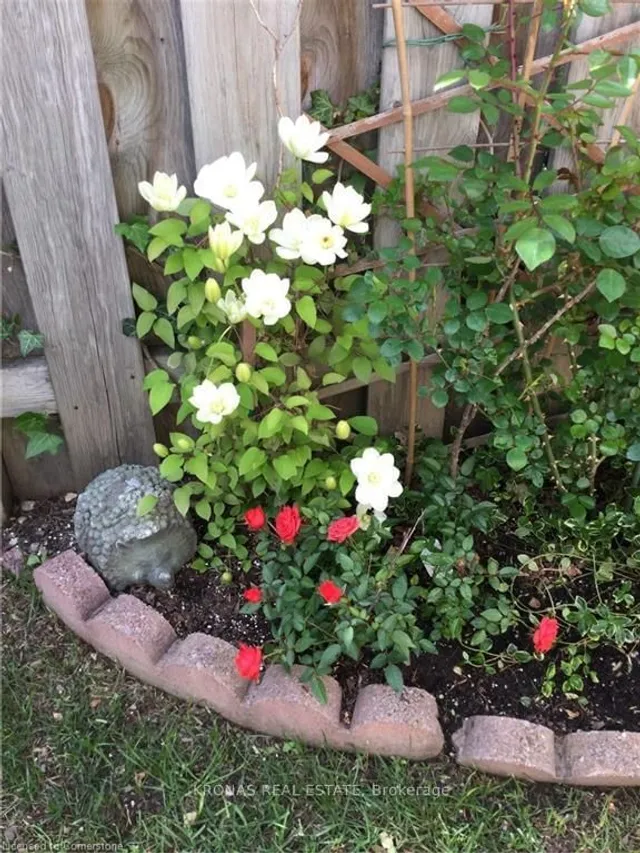 Additional image 41 of 212 SILVERBIRCH Blvd