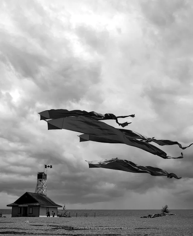 Additional image 35 of 503 Scarborough Rd