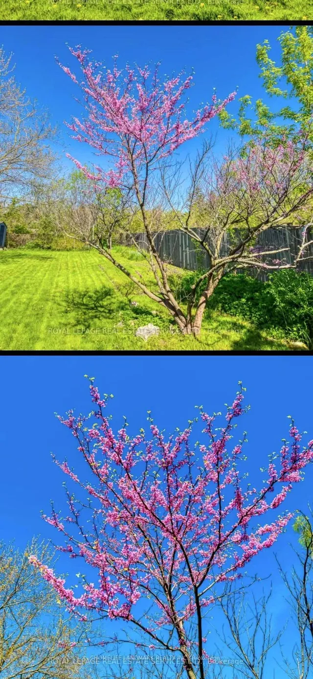 Additional image 20 of 202 West 2nd St