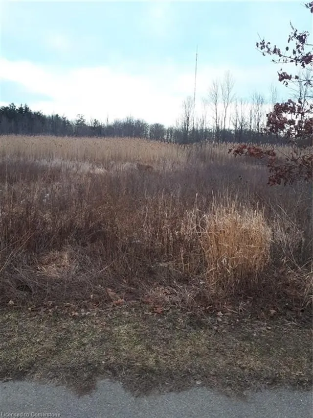 Additional image 38 of 8 Thornbury Crt