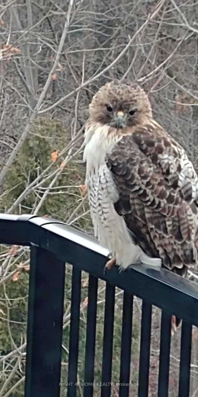 Additional image 50 of 62 Elbern Markell Dr