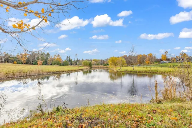 Additional image 26 of 11559 6th Line Nassagaweya N/A