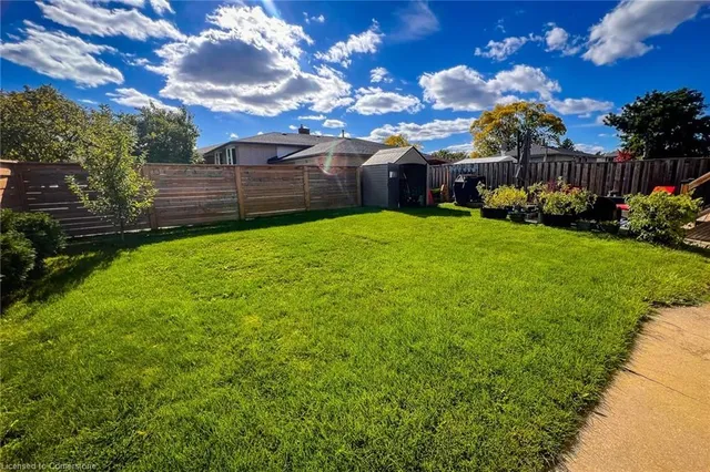 Additional image 11 of 8 Basswood Crt