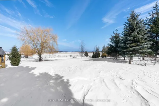 Additional image 6 of 769 Mud St