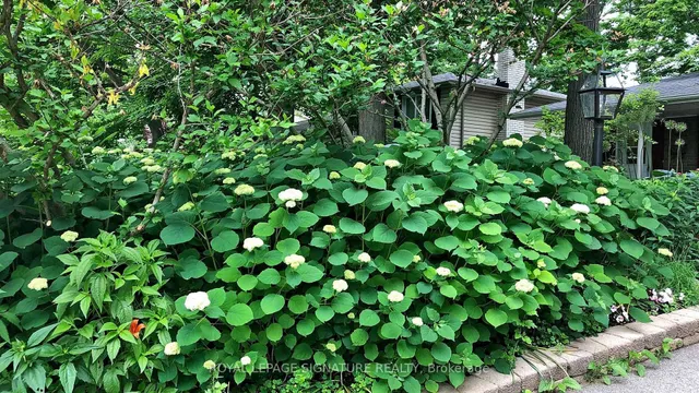 Additional image 44 of 1505 Moss Glen Crt