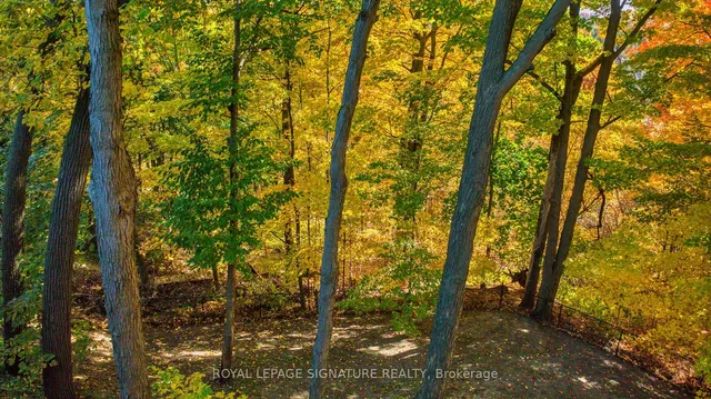 Additional image 38 of 15 Sulkara Crt