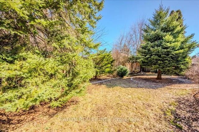 Additional image 36 of 52 Avon Rd