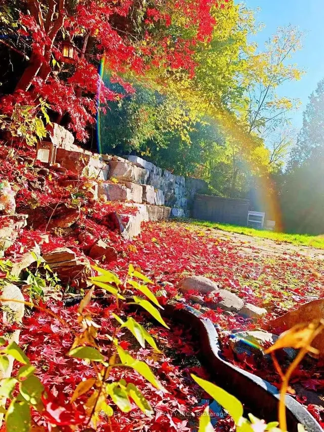 Additional image 15 of 173 Cottonwood Dr