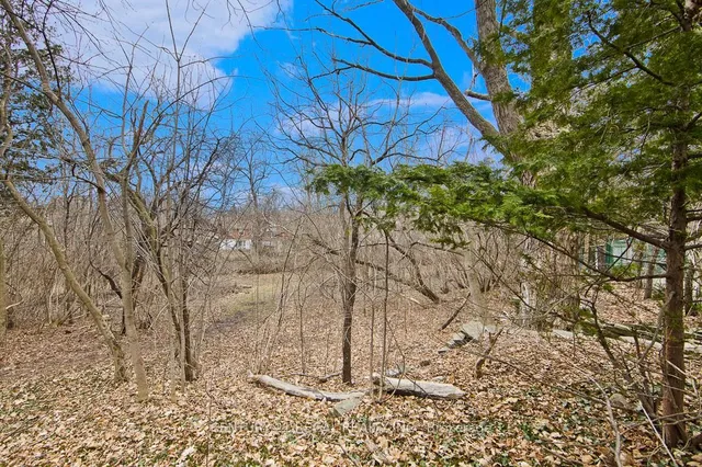 Additional image 24 of 51 Thornbeck Dr