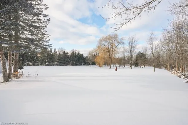 Additional image 48 of 2658 Guyatt Rd