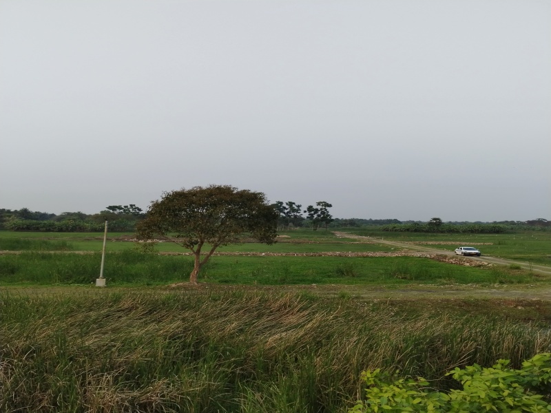 Additional image 2 of Joka, Kolkata