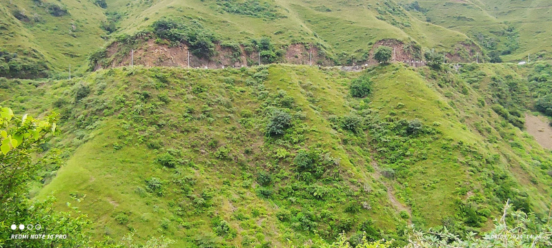 Additional image 3 of Naldehra, Shimla