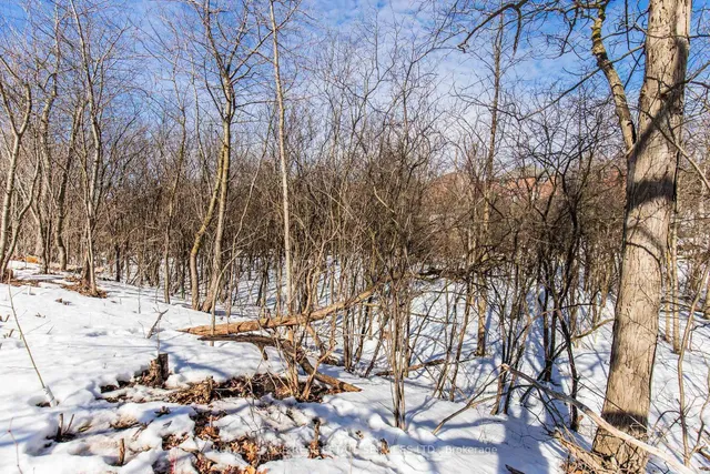 Additional image 44 of 43A Chester St Unit A