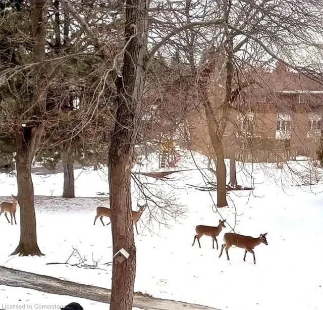 Additional image 33 of 9 Trudy Crt