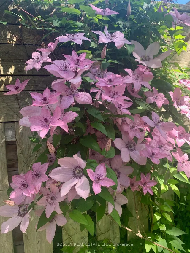 Additional image 44 of 32 Tecumseth St