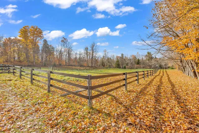 Additional image 28 of 11559 6th Line Nassagaweya N/A