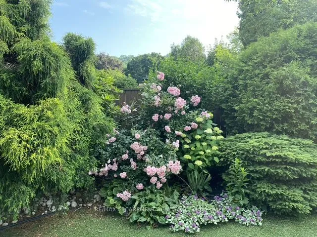 Additional image 30 of 234 Province St