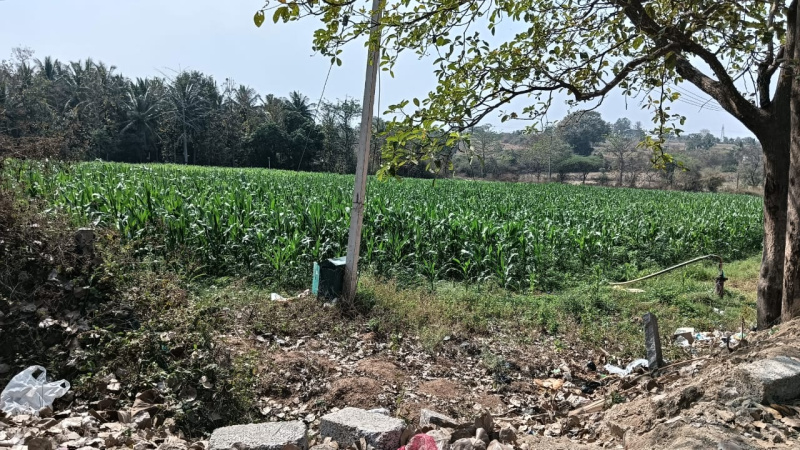 Additional image 2 of Heggadadevana kote, Mysore