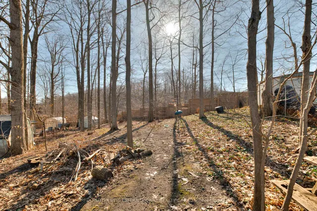 Additional image 37 of 223 Southwood Dr