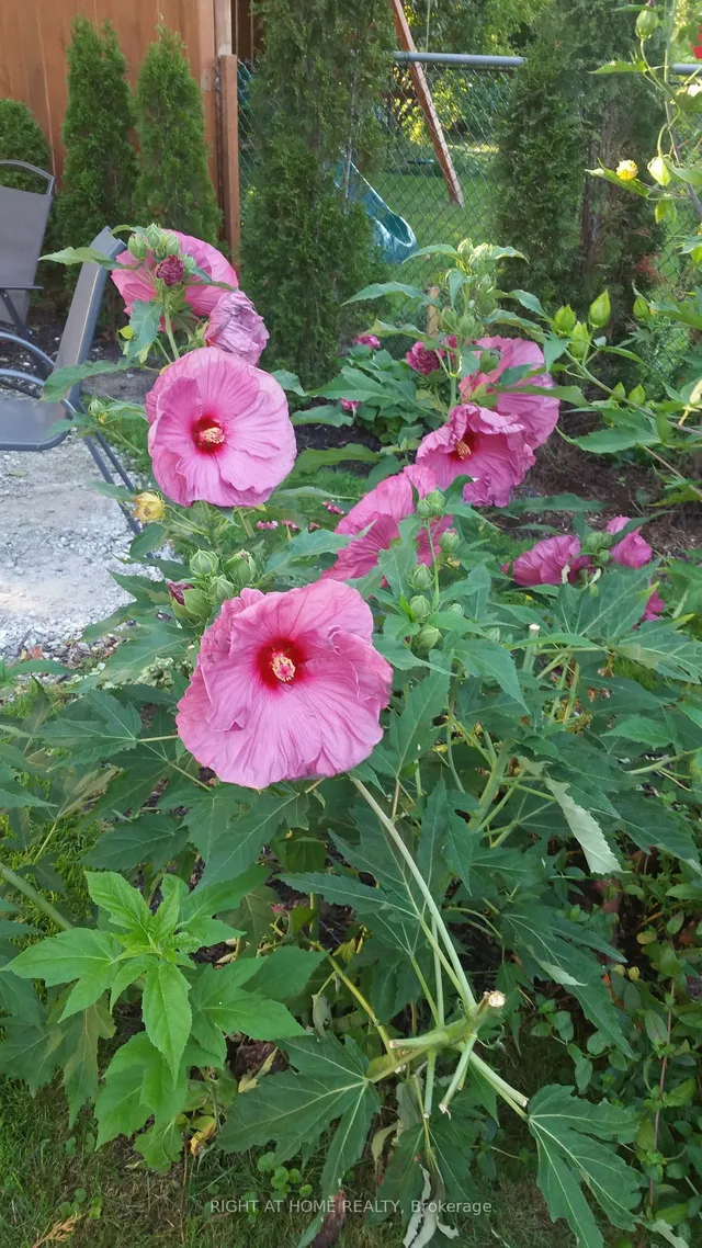 Additional image 27 of 35 Dayton Ave