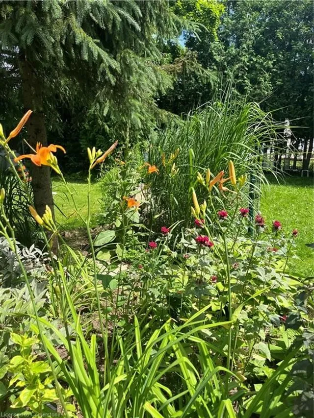 Additional image 29 of 9 Pepper Rd