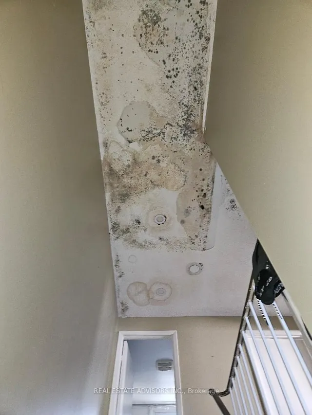 Additional image 14 of 19 Horseshoe Crt