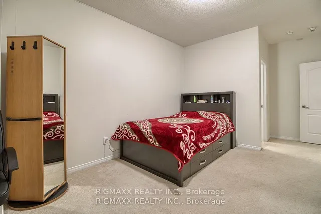 Additional image 21 of 22 Iguana Tr