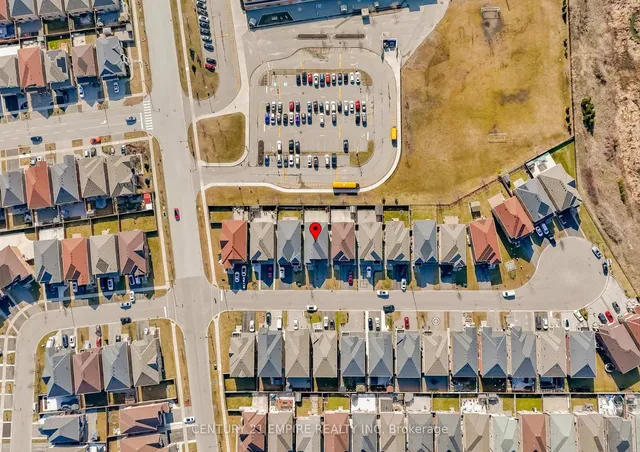 Additional image 47 of 7 Amaretto Crt