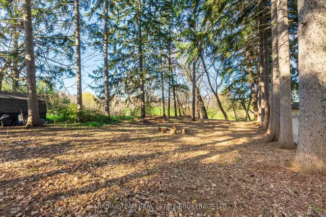 Additional image 30 of 1372 Islington Ave