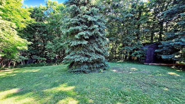 Additional image 5 of 53 Pine Ridge Dr