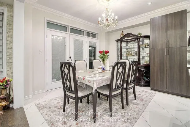 Additional image 6 of 22 Iguana Tr