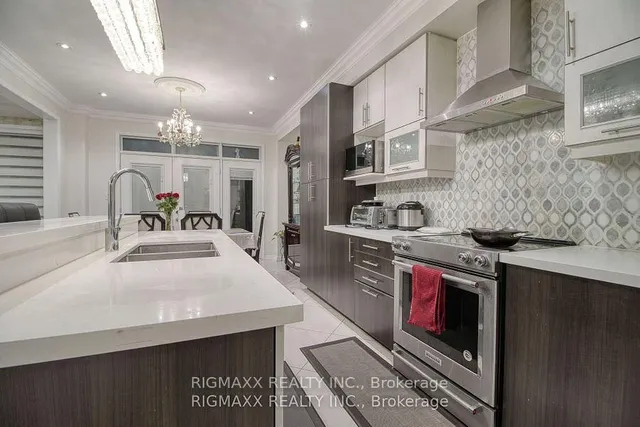 Additional image 12 of 22 Iguana Tr