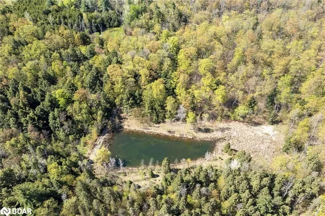 Additional image 26 of 9414 First Line Nassagweya