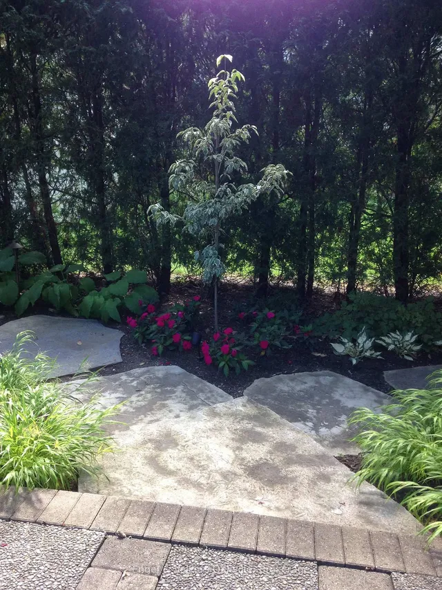 Additional image 31 of 950 Wintergreen Pl