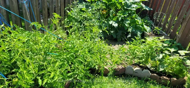 Additional image 44 of 121 Nathaniel Cres