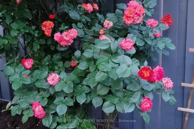 Additional image 44 of 3321 Steeplechase Dr