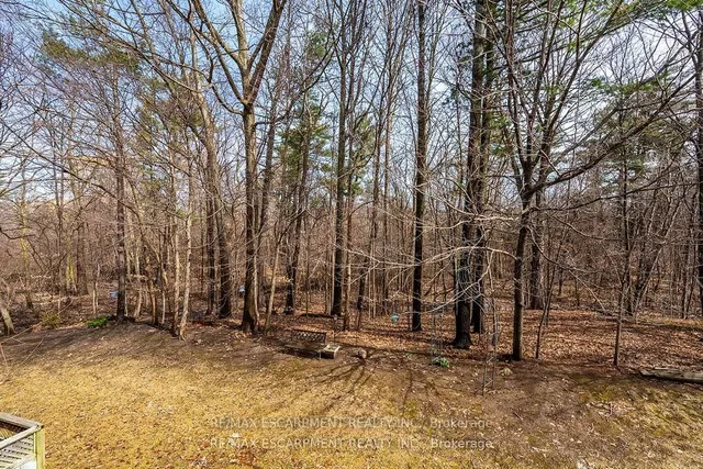 Additional image 27 of 2075 WALKERS Line Unit 246