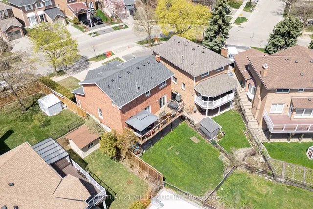 Additional image 38 of 81 Philosopher's Tr