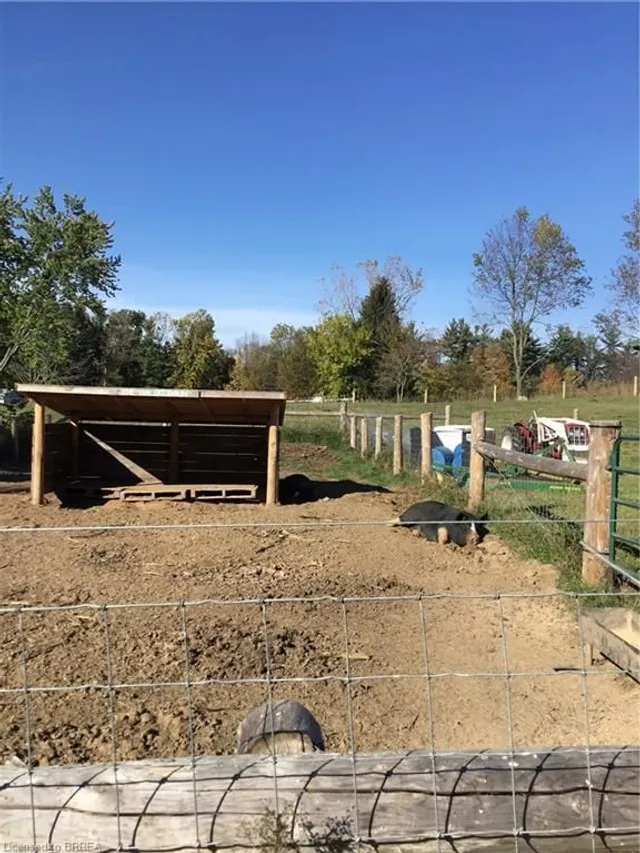 Additional image 6 of 761 Lynden Rd