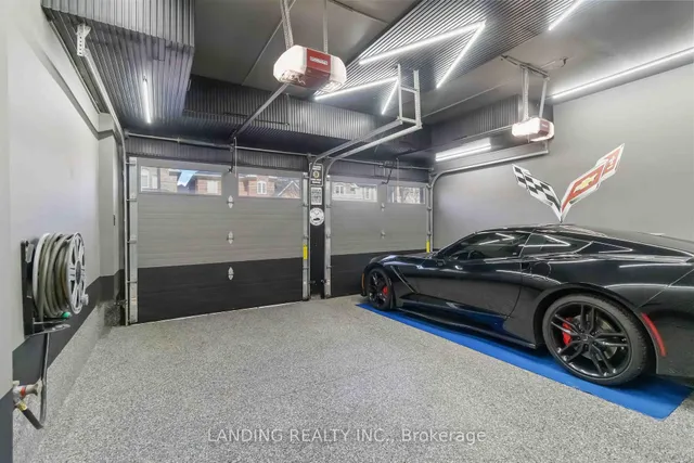 Additional image 39 of 16 Begonia Cres