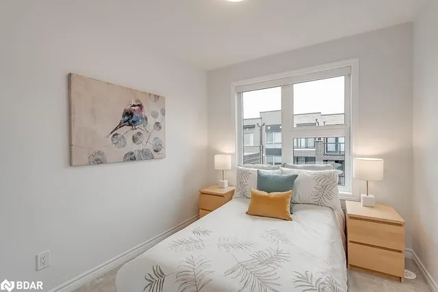 Additional image 24 of 3048 Silvertip Common Common