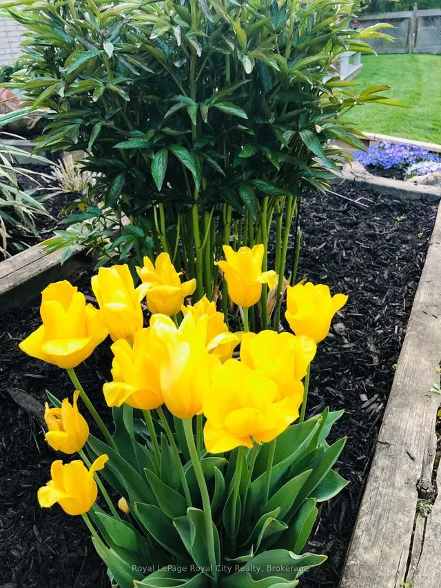 Additional image 49 of 1873 Four Seasons Dr