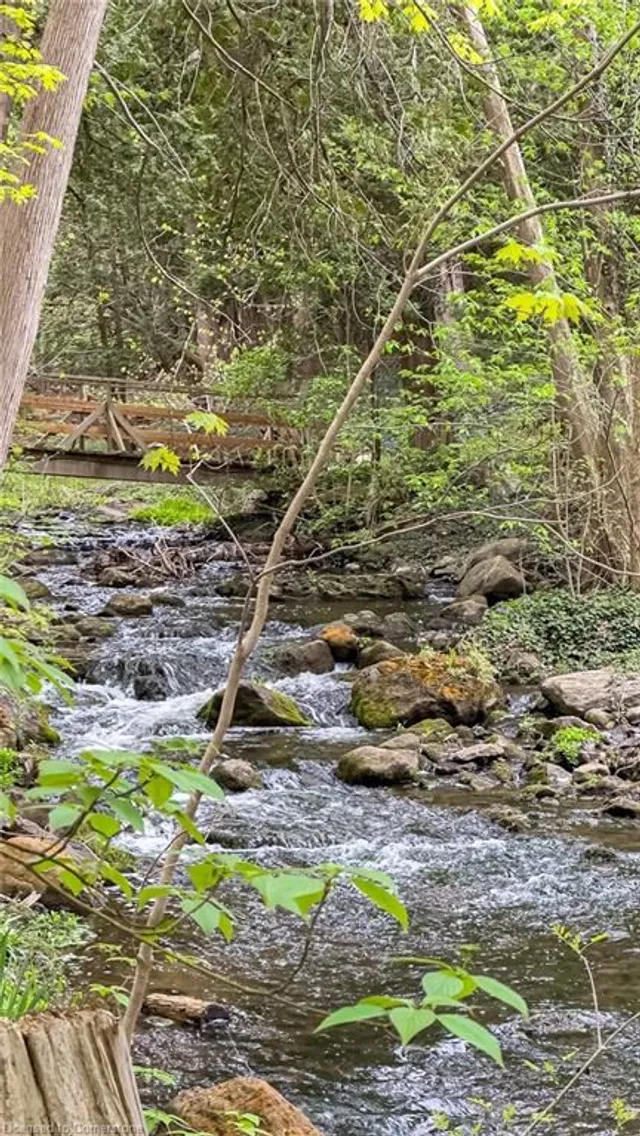 Additional image 8 of 6087 Cedar Springs Rd