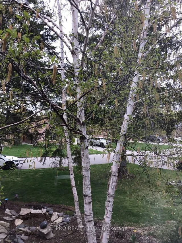 Additional image 5 of 41 Marchmount Cres