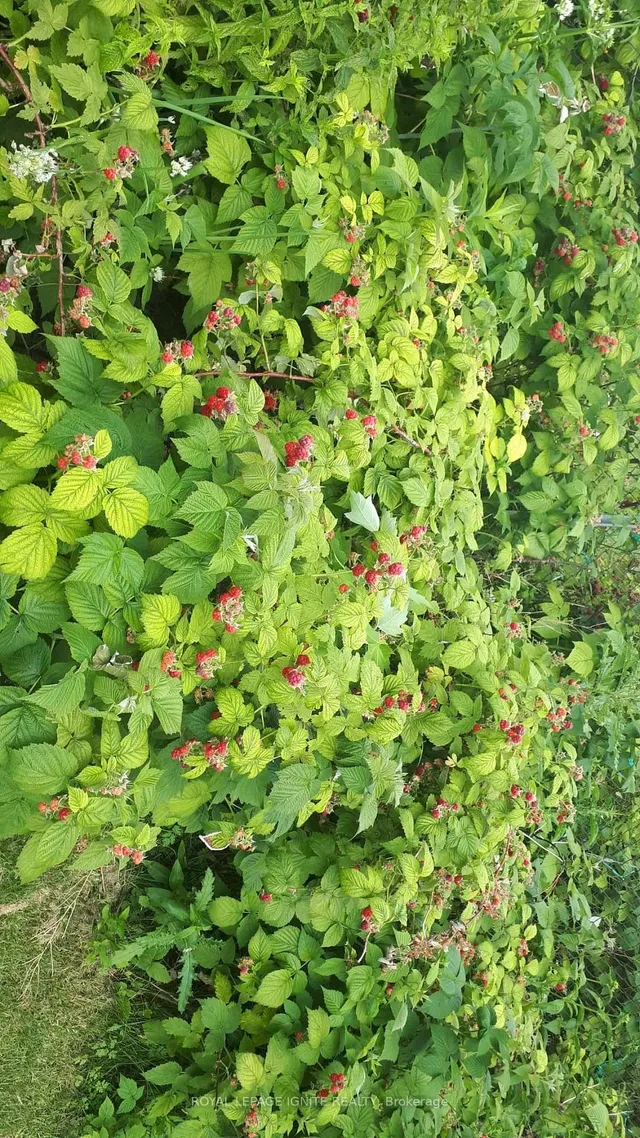 Additional image 40 of 115 Northcrest Rd