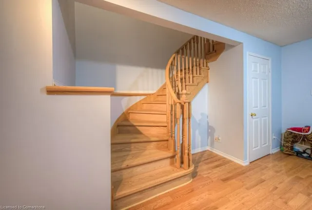 Additional image 18 of 5134 Des Jardines Dr