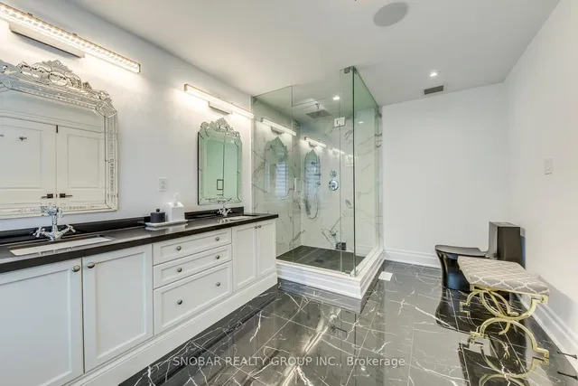 Additional image 16 of 18 Chimney Swift Crt